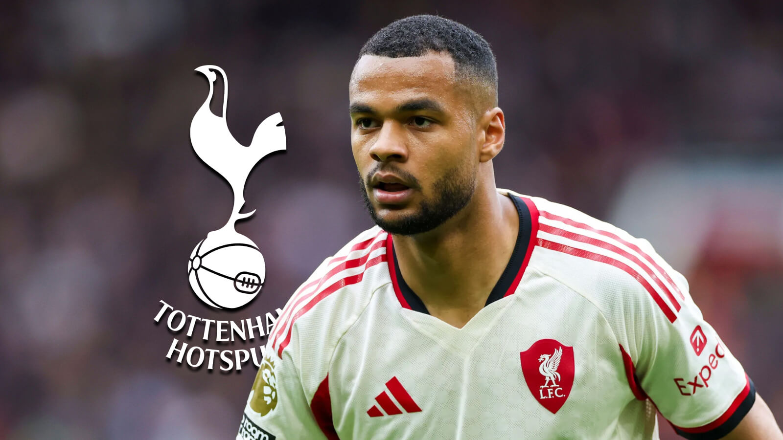 Tottenham Prepare Improved Cody Gakpo Offer as Spurs Push to Complete Liverpool Transfer