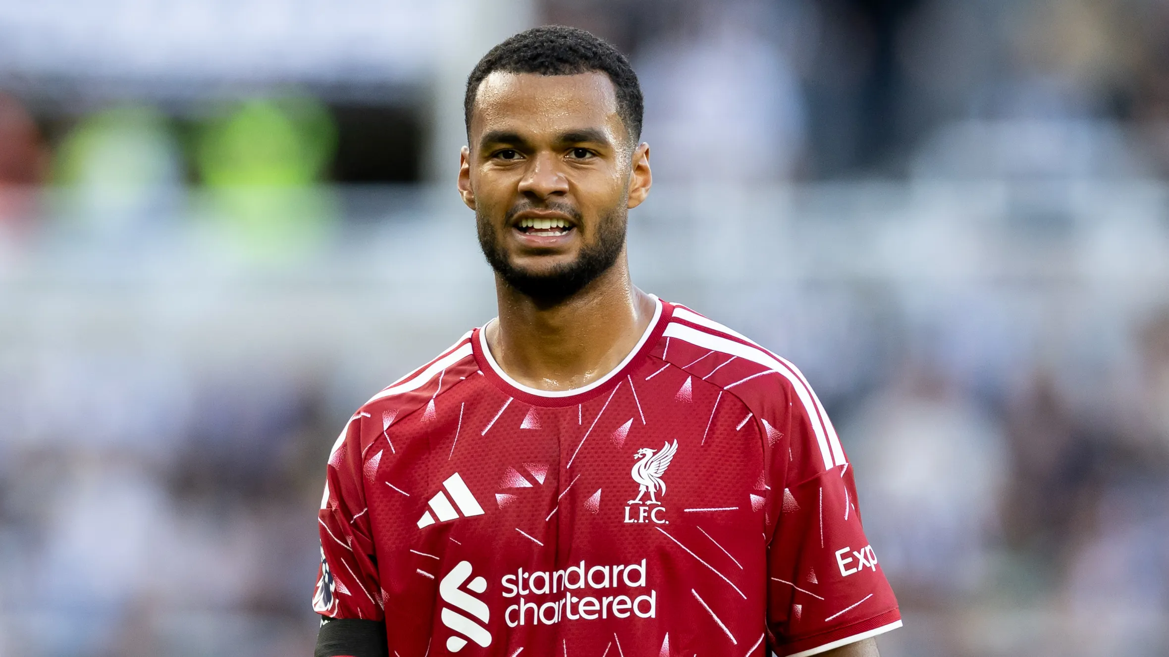 Cody Gakpo to Man City: £85m Deal Hinges on Liverpool Finding His Replacement